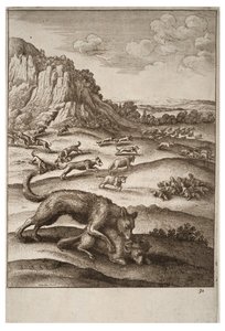 オオカミと羊 作： Wenceslaus Hollar